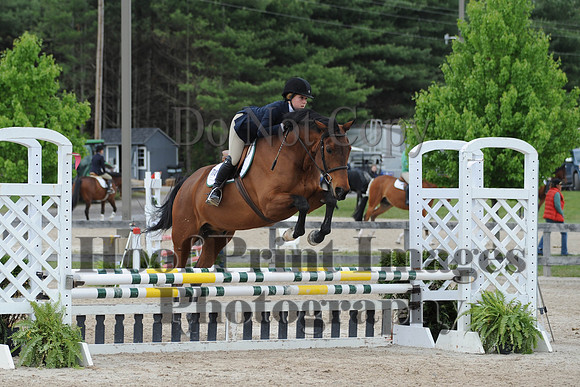 BRSa(5-17-14)0.8mJCl0057