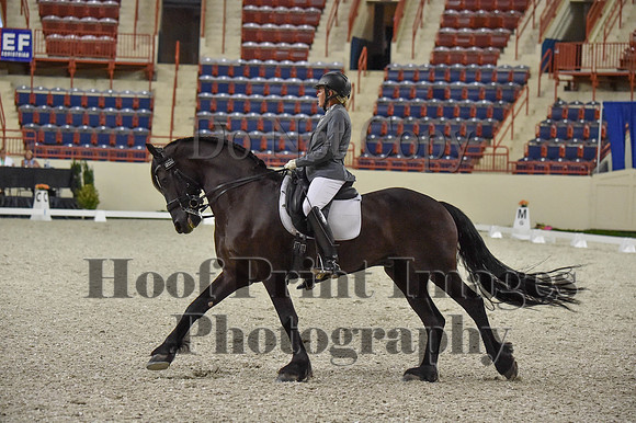 CWdressageI(8-20-16)0926
