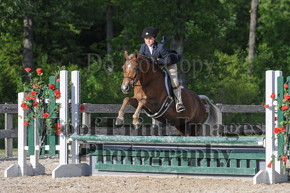BRSa(5-17-14)SMChP0053
