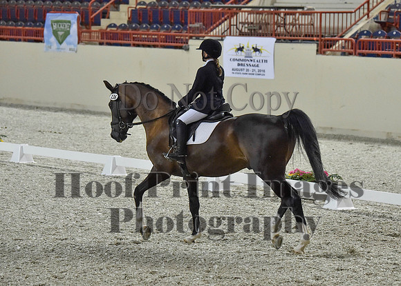 CWdressageI(8-20-16)0199
