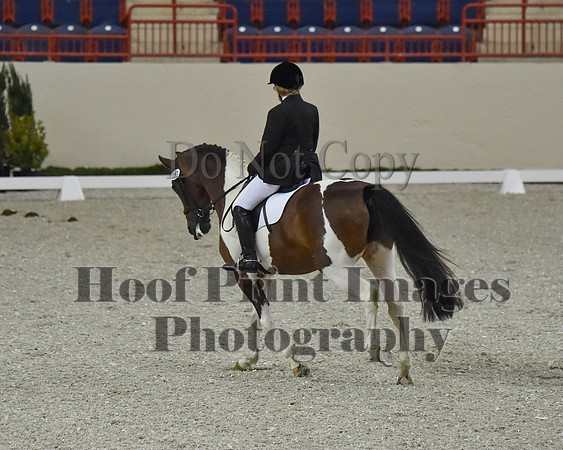 CWdressageII(8-21-16)1079