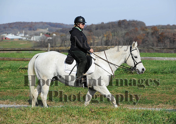AndrewsBr(11-9-14)0618