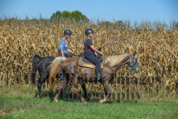CheshirePonyClubPC(10-6-24)0239