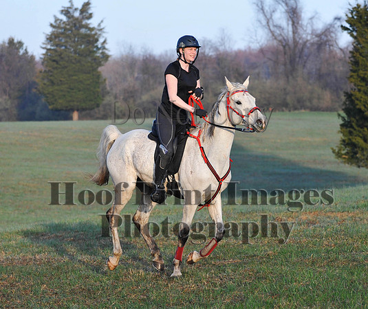 Foxcatcher(4-12-14)0345