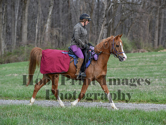 ChesapeakeSpring(4-10-22)0142