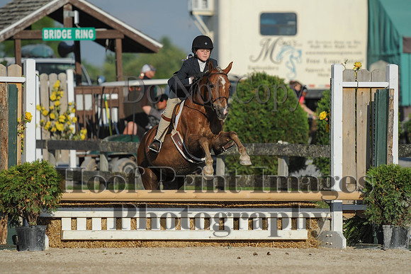 BRSa(5-17-14)SMChP0063