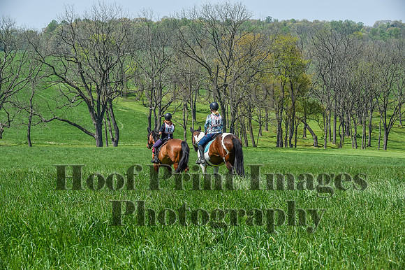 CheshireSpringPC1(4-28-24)0515