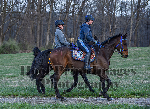 ChesapeakeSpring(4-10-22)0386
