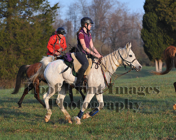 Foxcatcher(4-12-14)0415