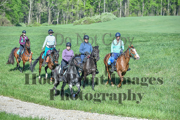 ChesapeakeSpring(4-27-25)0479