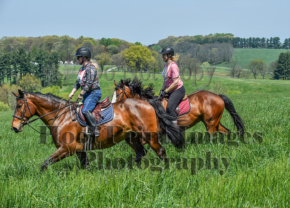 CheshireSpringPC1(4-28-24)0432