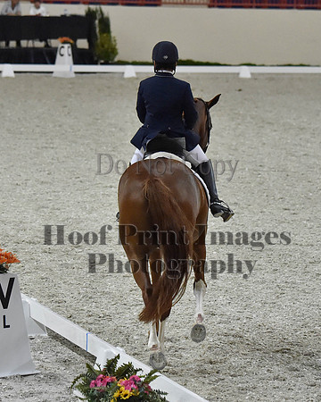 CWdressageII(8-21-16)2002