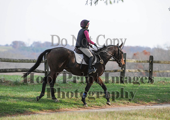 AndrewsBr(11-9-14)0439