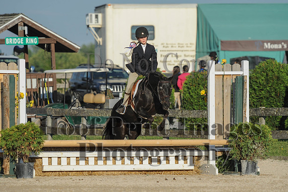 BRSa(5-17-14)SMChP0077