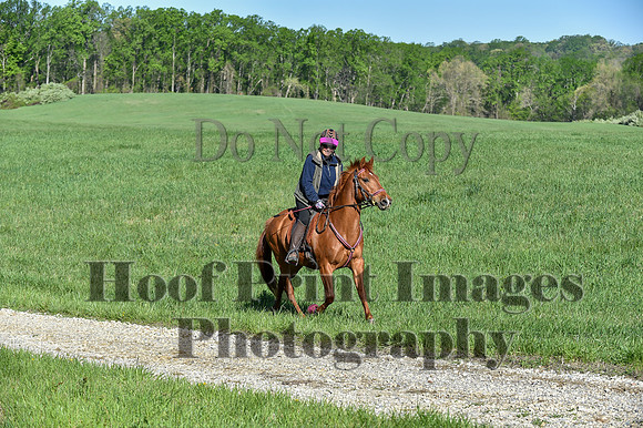 ChesapeakeSpring(4-27-25)0449