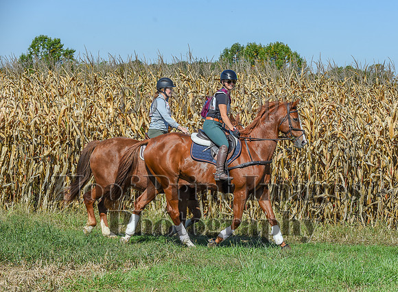 CheshirePonyClubPC(10-6-24)0359