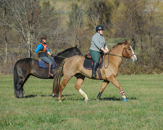BHPC(11-15-15)0070
