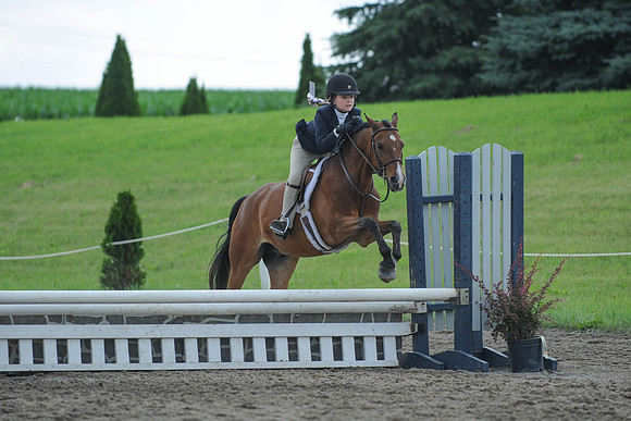 SC(6-28-14)SMPony0029