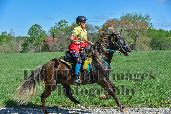 ChesapeakeSpring(4-27-25)0587
