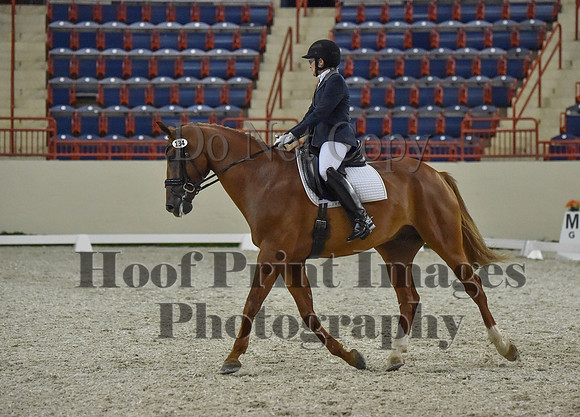 CWdressageI(8-20-16)1256