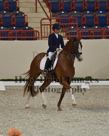 CWdressageII(8-21-16)1993