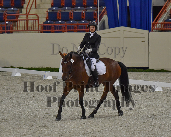 CWdressageII(8-21-16)0472