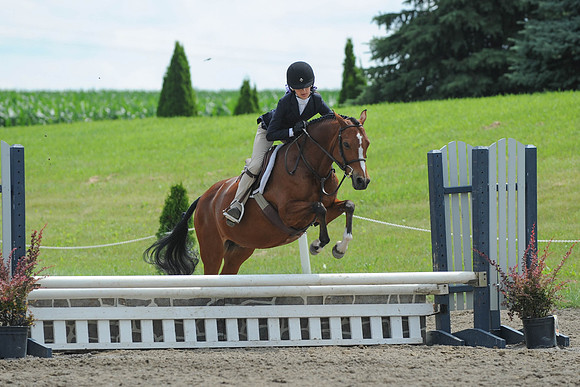 SC(6-28-14)SMPony0079