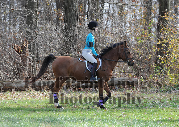 AndrewsBr(11-9-14)0444