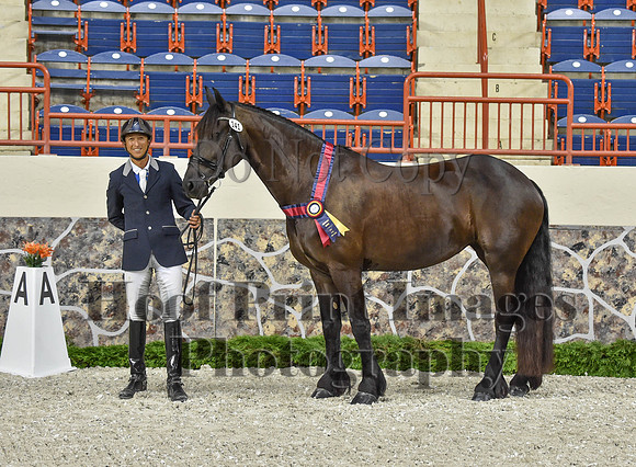 CWdressageI(8-20-16)1191