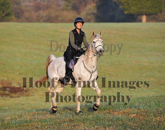 Foxcatcher(4-12-14)0270