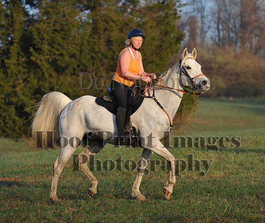 Foxcatcher(4-12-14)0304