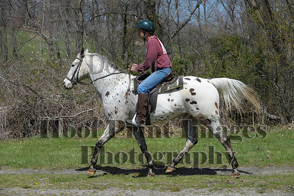 CheshirePC(4-16-16)0355