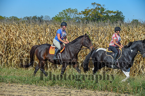 CheshirePonyClubPC(10-6-24)0222