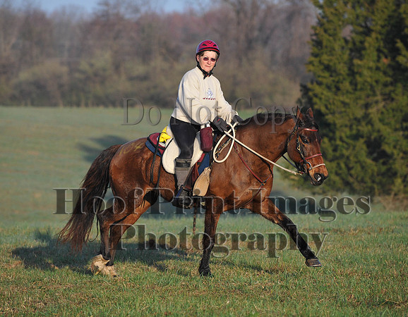 Foxcatcher(4-12-14)0501