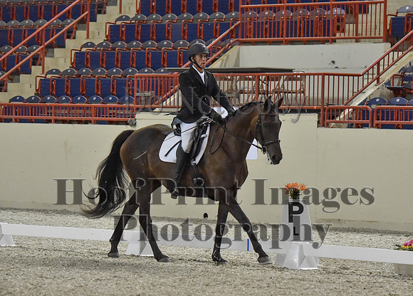 CWdressageI(8-20-16)0665