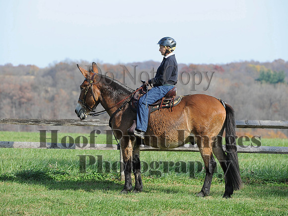 AndrewsBr(11-9-14)0320
