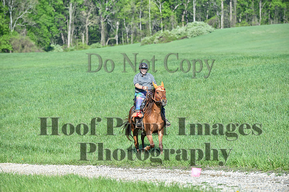 ChesapeakeSpring(4-27-25)0346