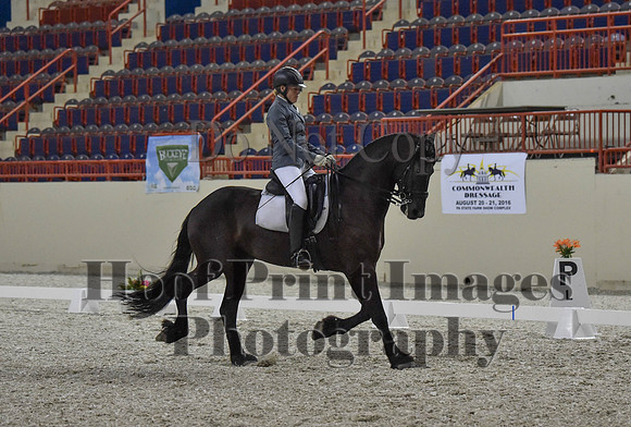 CWdressageI(8-20-16)1218