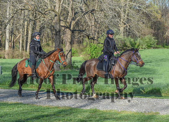 ChesapeakeSpring(4-18-21)0074