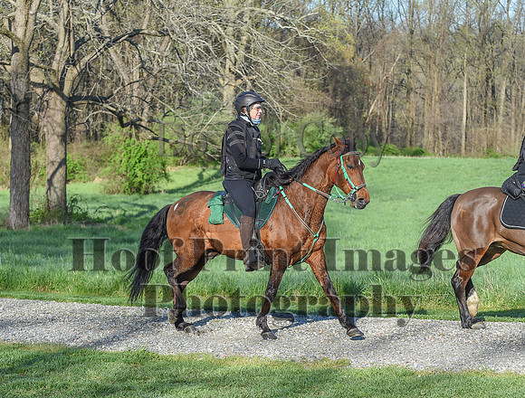 ChesapeakeSpring(4-18-21)0077