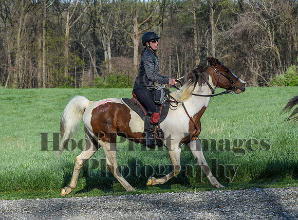 ChesapeakeSpring(4-18-21)0102