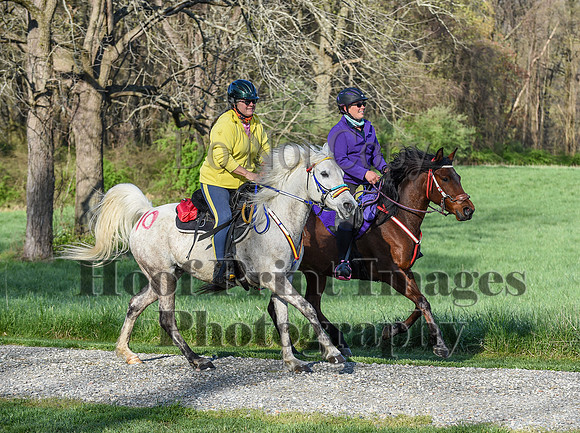 ChesapeakeSpring(4-18-21)0112
