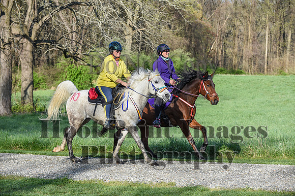 ChesapeakeSpring(4-18-21)0113