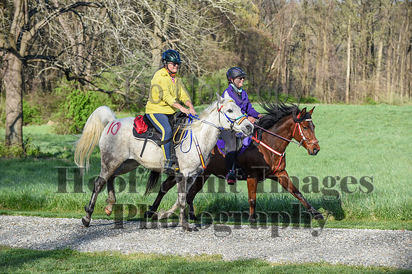 ChesapeakeSpring(4-18-21)0114