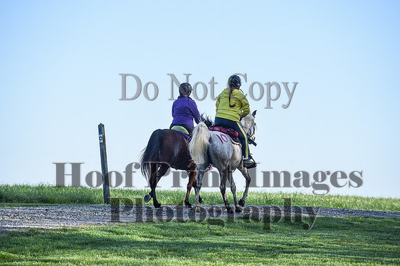 ChesapeakeSpring(4-18-21)0117