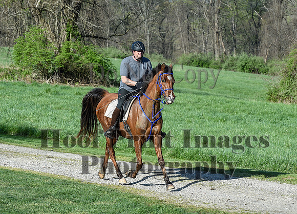 ChesapeakeSpring(4-18-21)0131