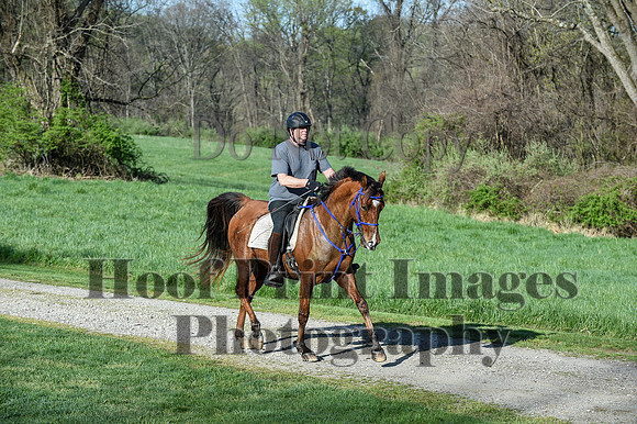 ChesapeakeSpring(4-18-21)0132