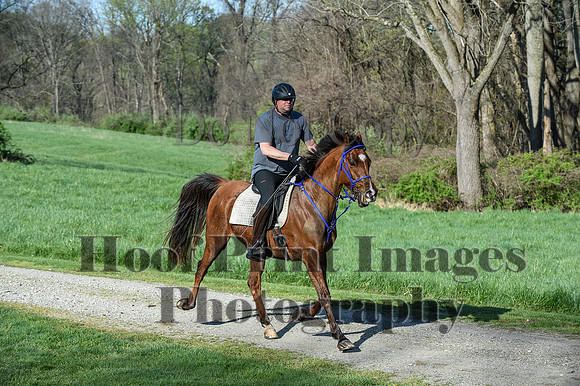 ChesapeakeSpring(4-18-21)0134