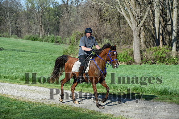 ChesapeakeSpring(4-18-21)0135