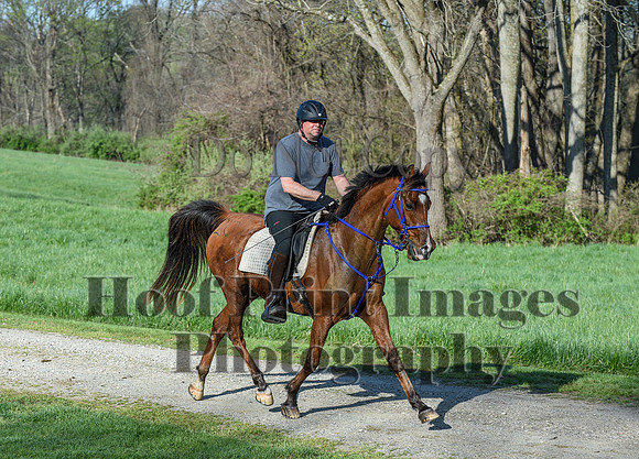 ChesapeakeSpring(4-18-21)0137